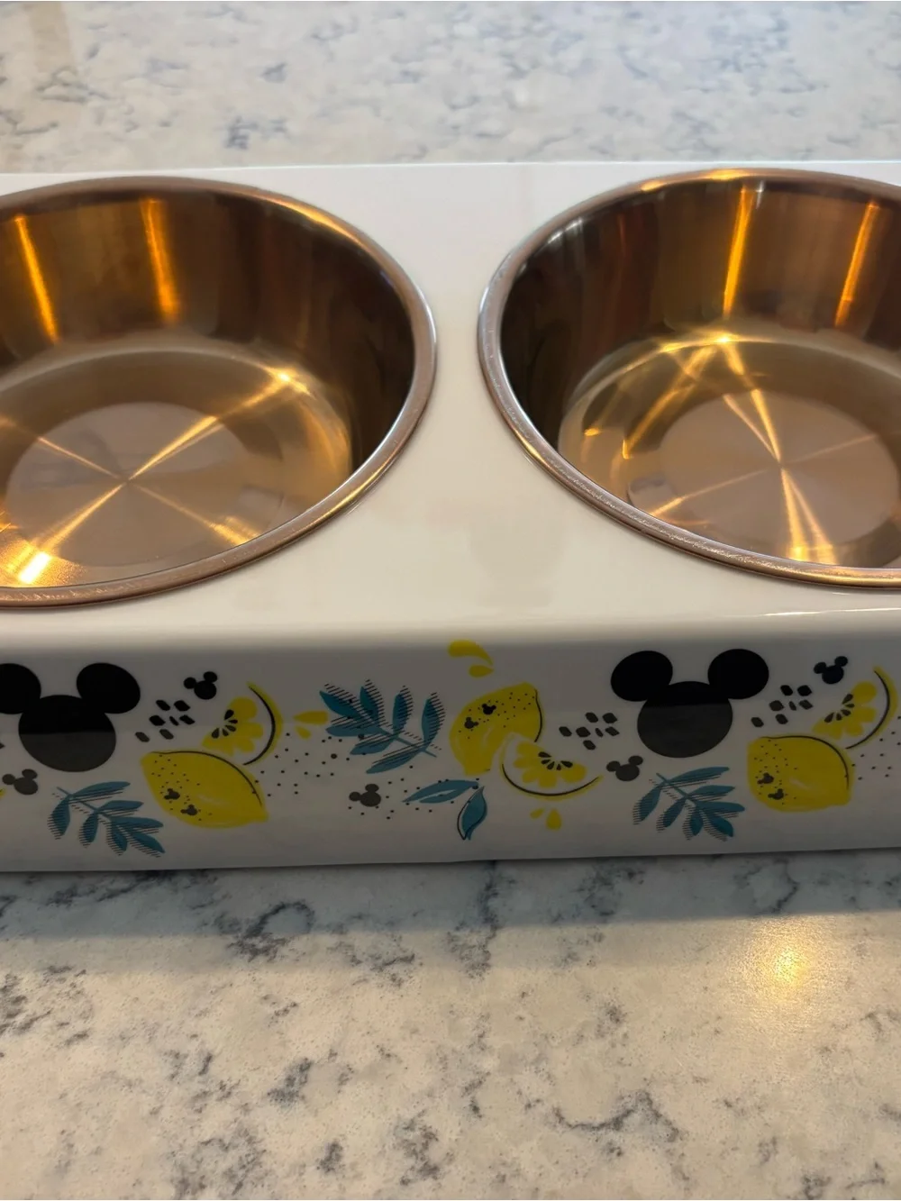 Disney Chewy Mickey Mouse Lemon Double Dog Cat Feeding Good Bowl Melamine